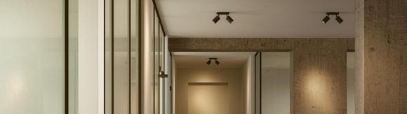 interior scene 2 commercial edgespot double 65 black